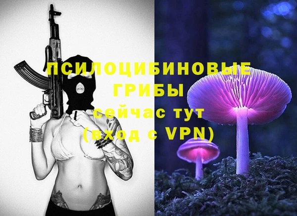 ALPHA-PVP Няндома
