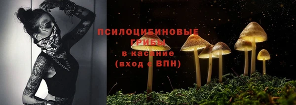 СК Валдай