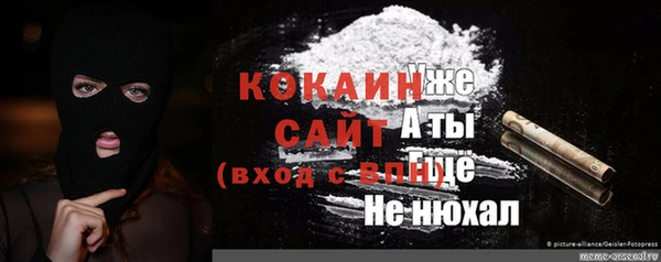ALPHA-PVP Няндома