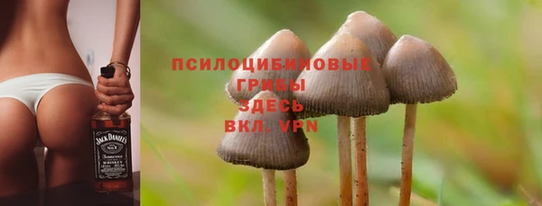 дживик Нязепетровск