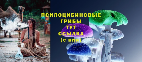 мет Нягань