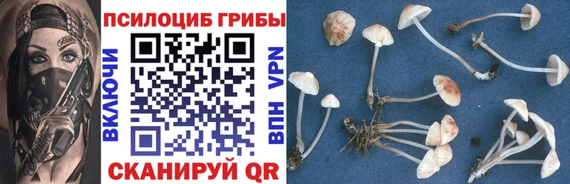 Псилоцибиновые грибы GOLDEN TEACHER  Рассказово 