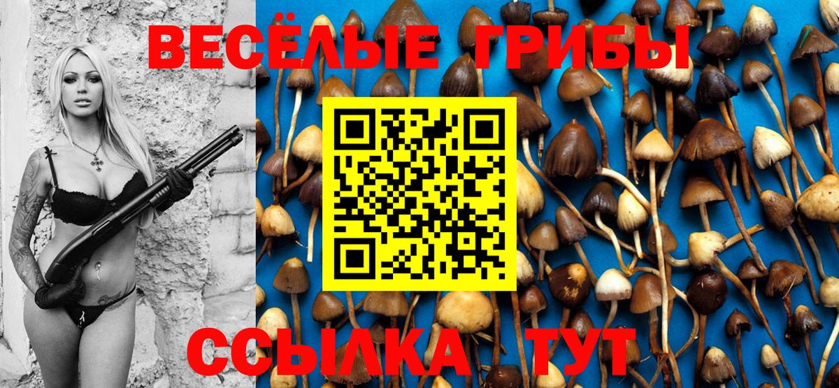 Псилоцибиновые грибы Cubensis  Вход с VPN  Рассказово 